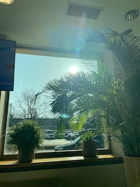 View from the breakfast room