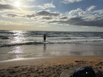 Out for a swim at sunset
