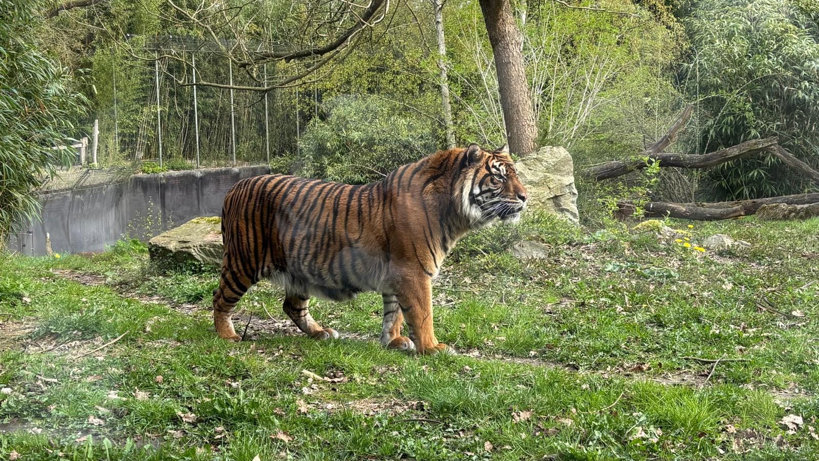 Burgers Zoo - der mit Abstand schönste Zoo überhaupt. So besonders. 