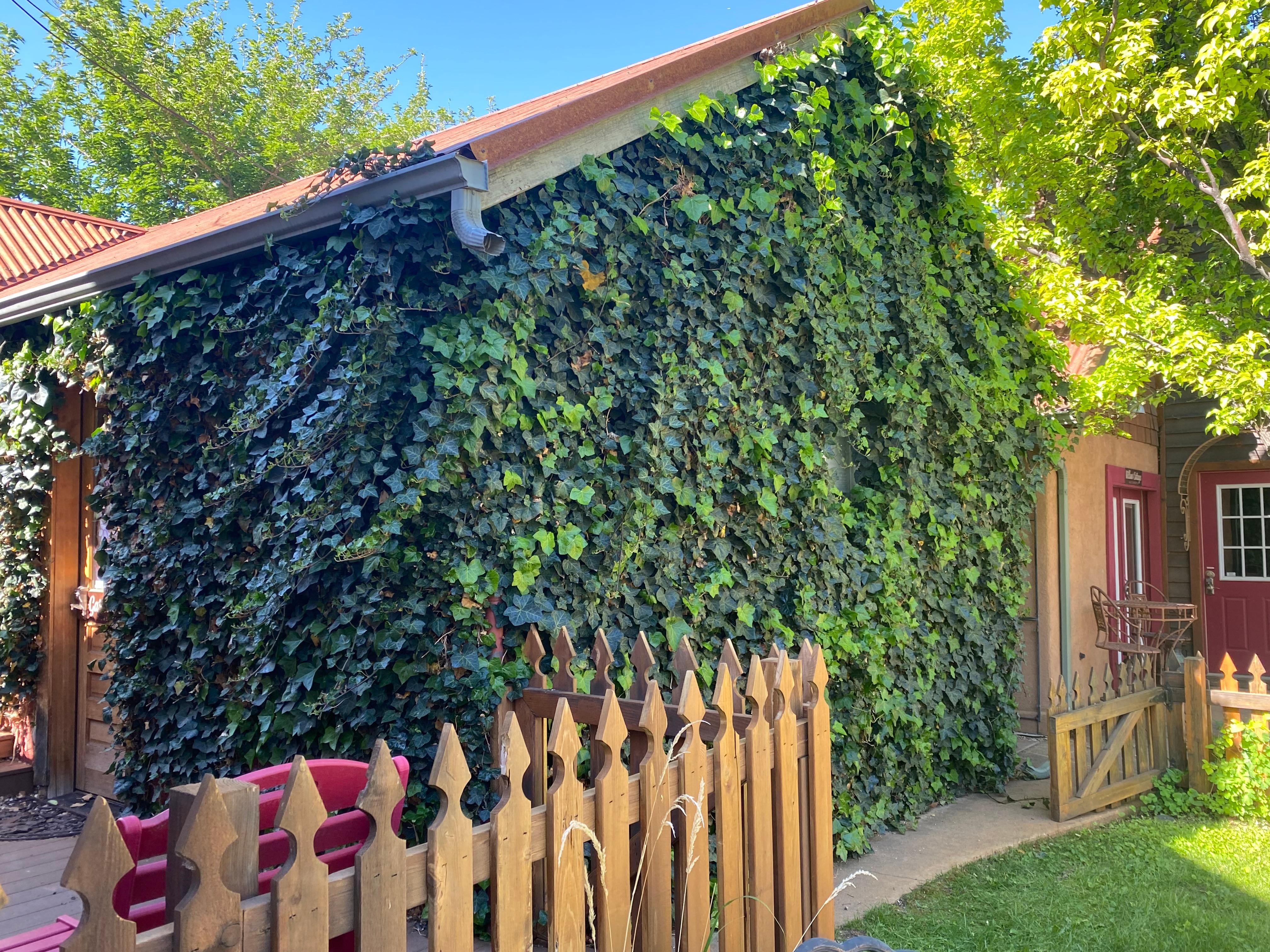 Beautiful landscaping