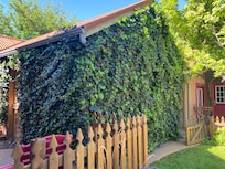 Beautiful landscaping