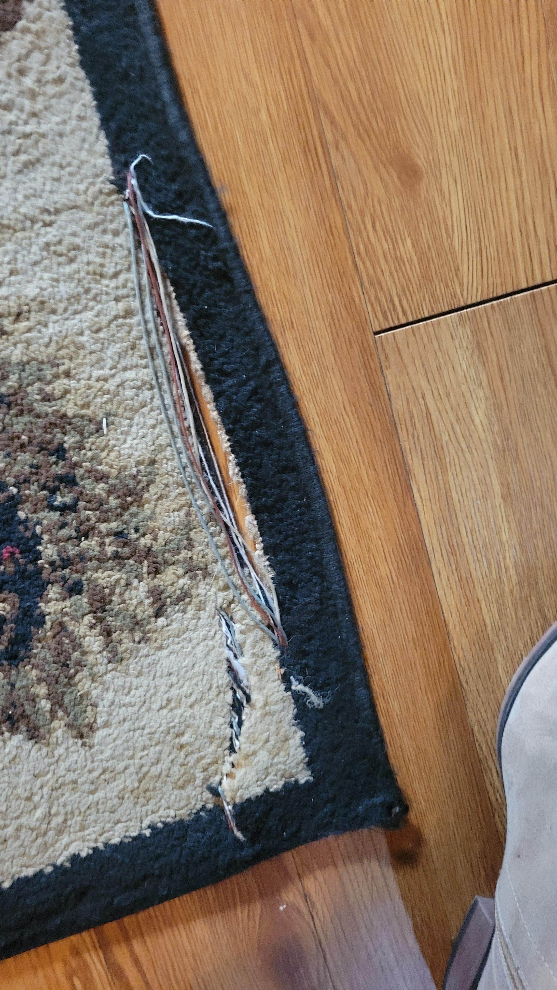 Torn living room carpet