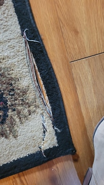 Torn living room carpet