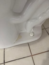 Gross. Dry urine stains