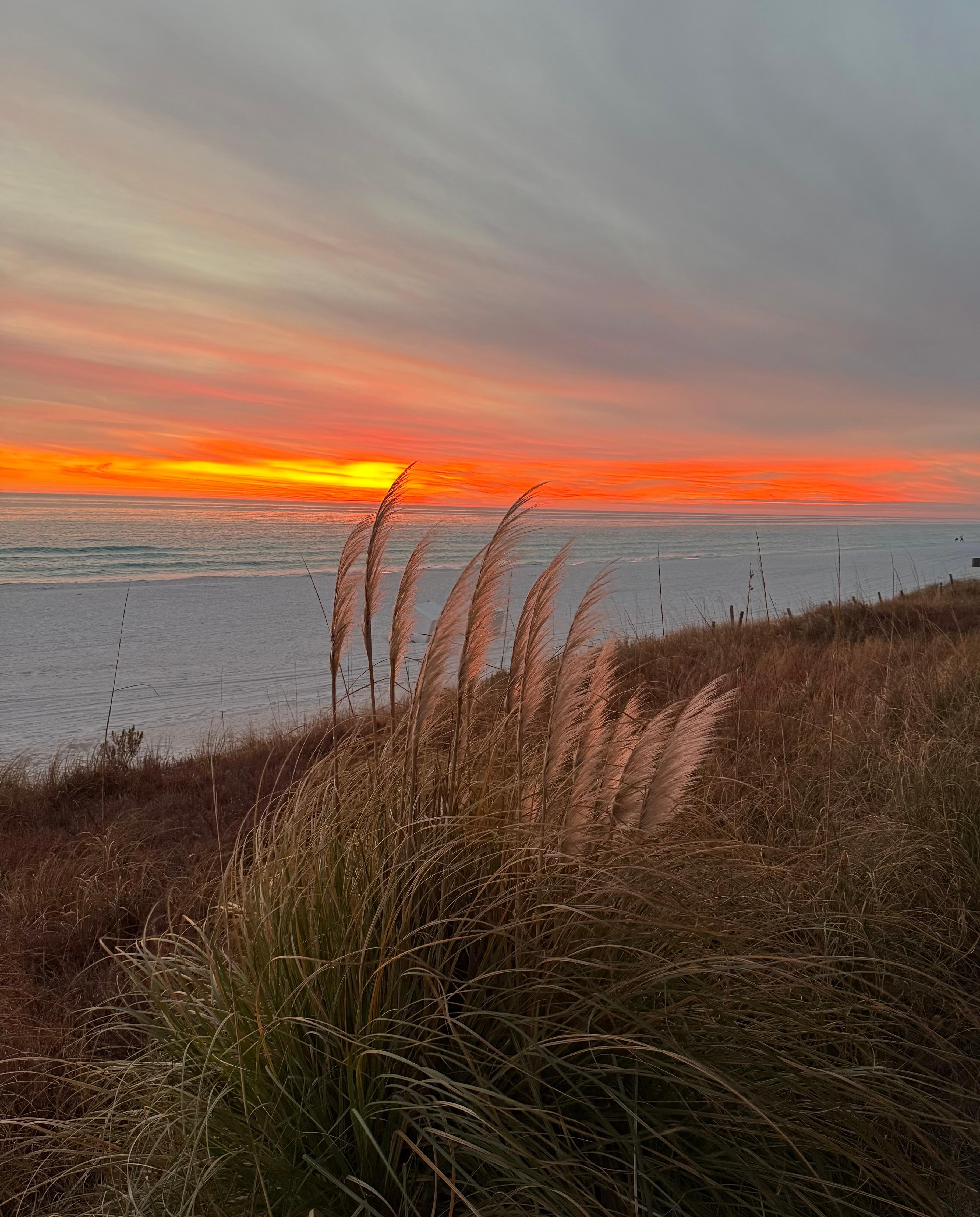 Sunset seen from our building 