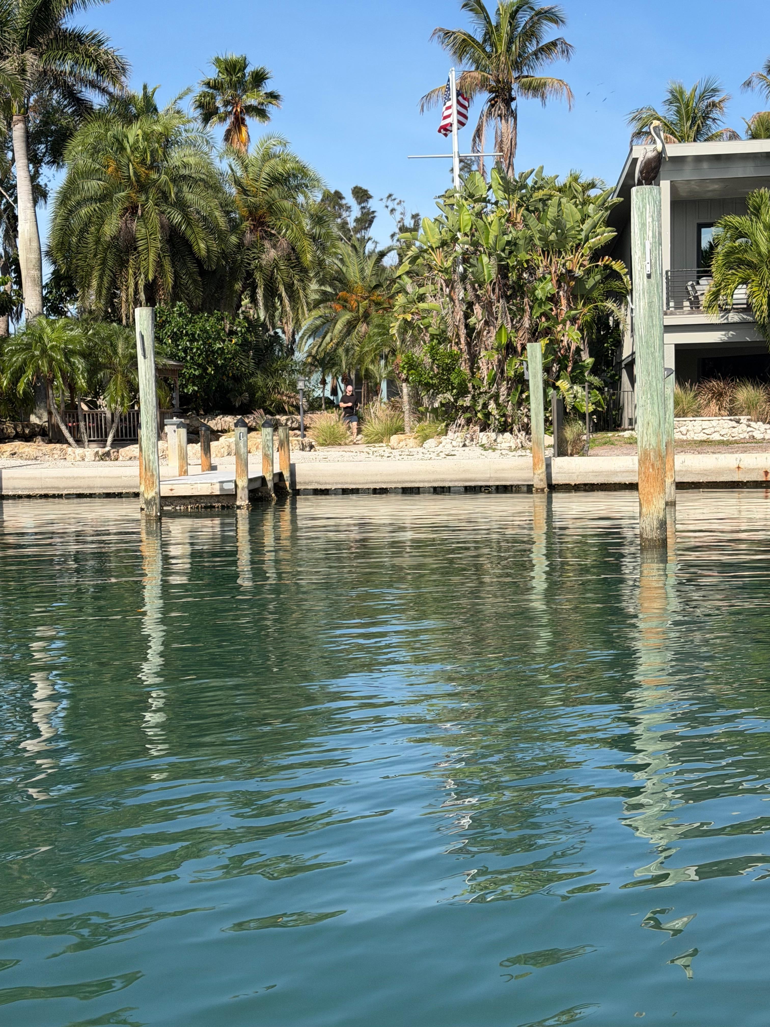 Boat dock and back yard area of property- unit tucked away behind the trees