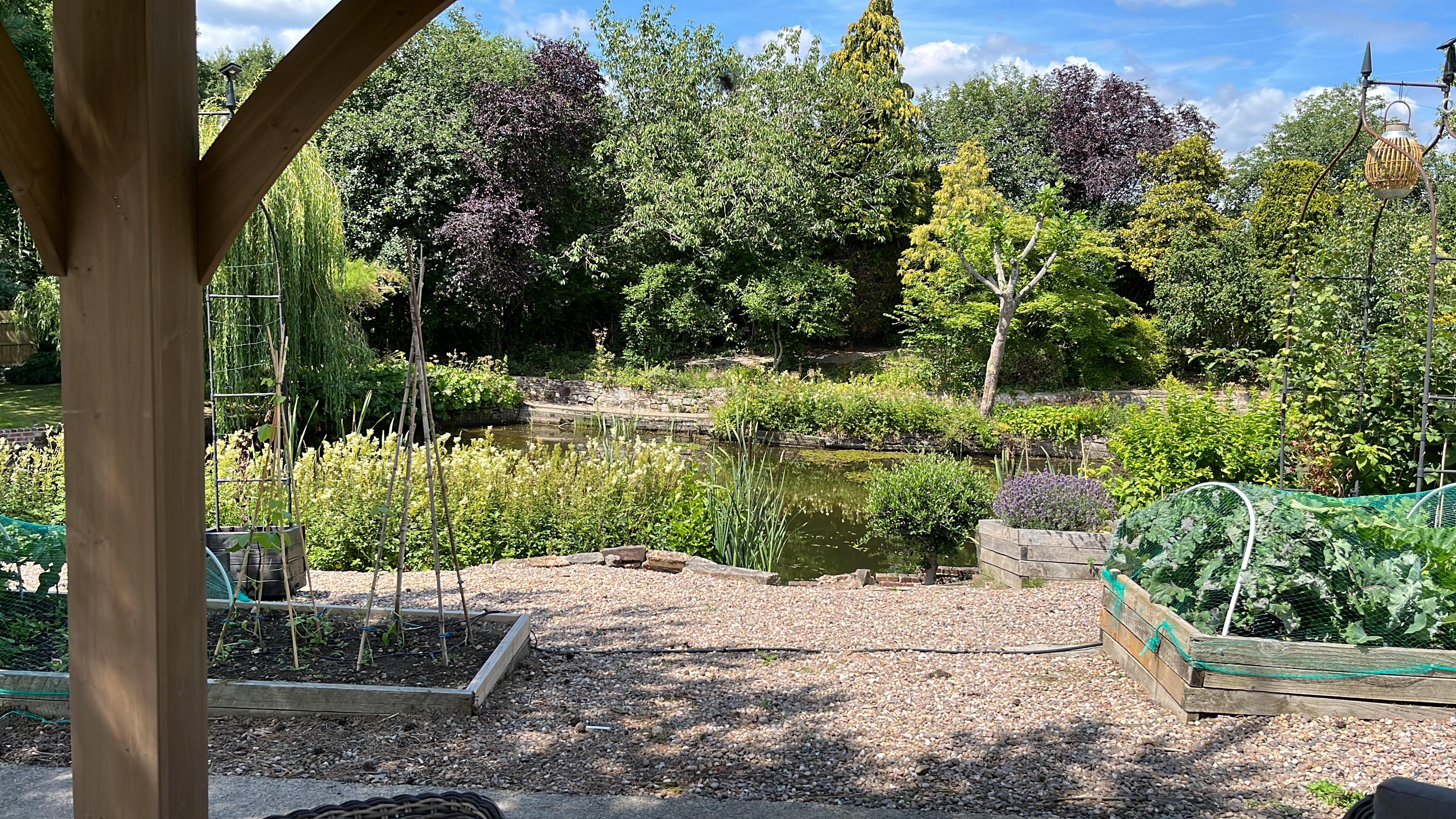 Beautiful garden with pond and seating.