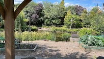 Beautiful garden with pond and seating.