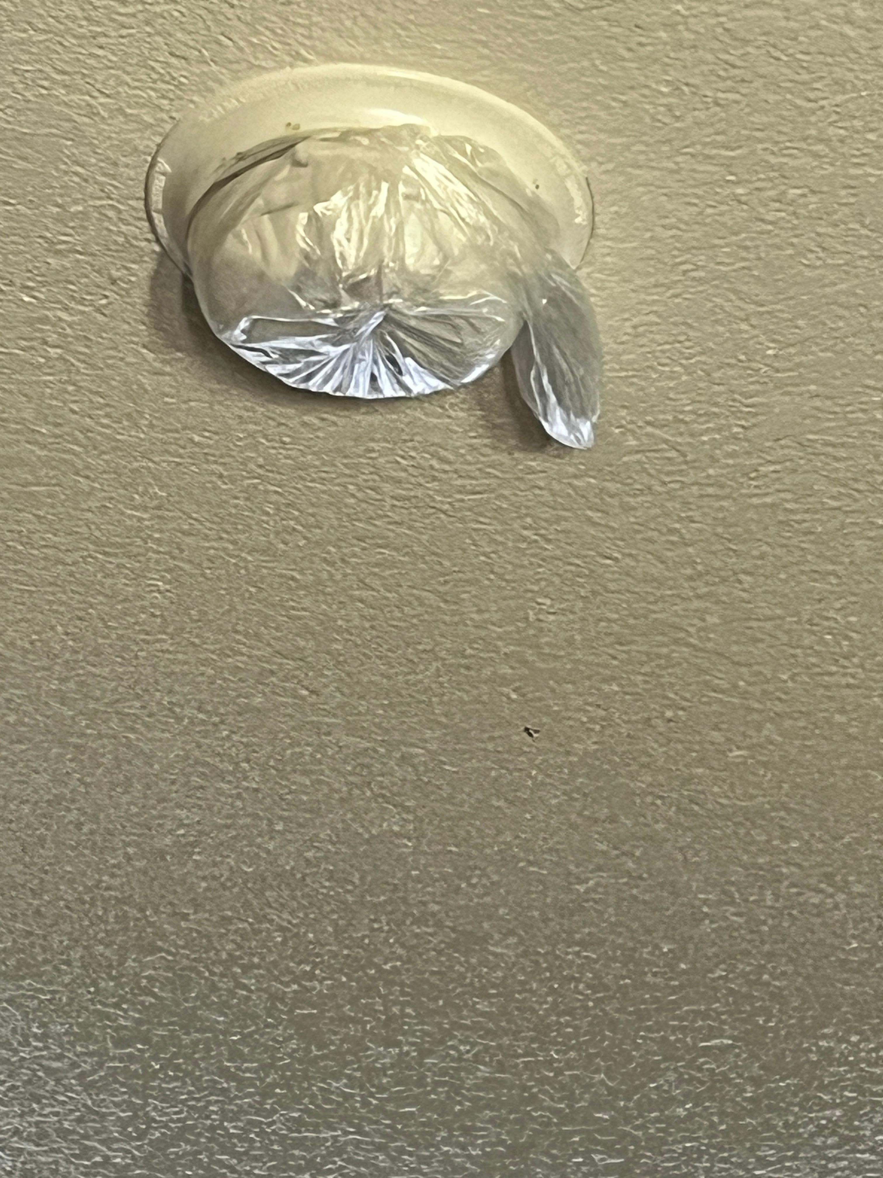 The smoke detector covered with plastic.