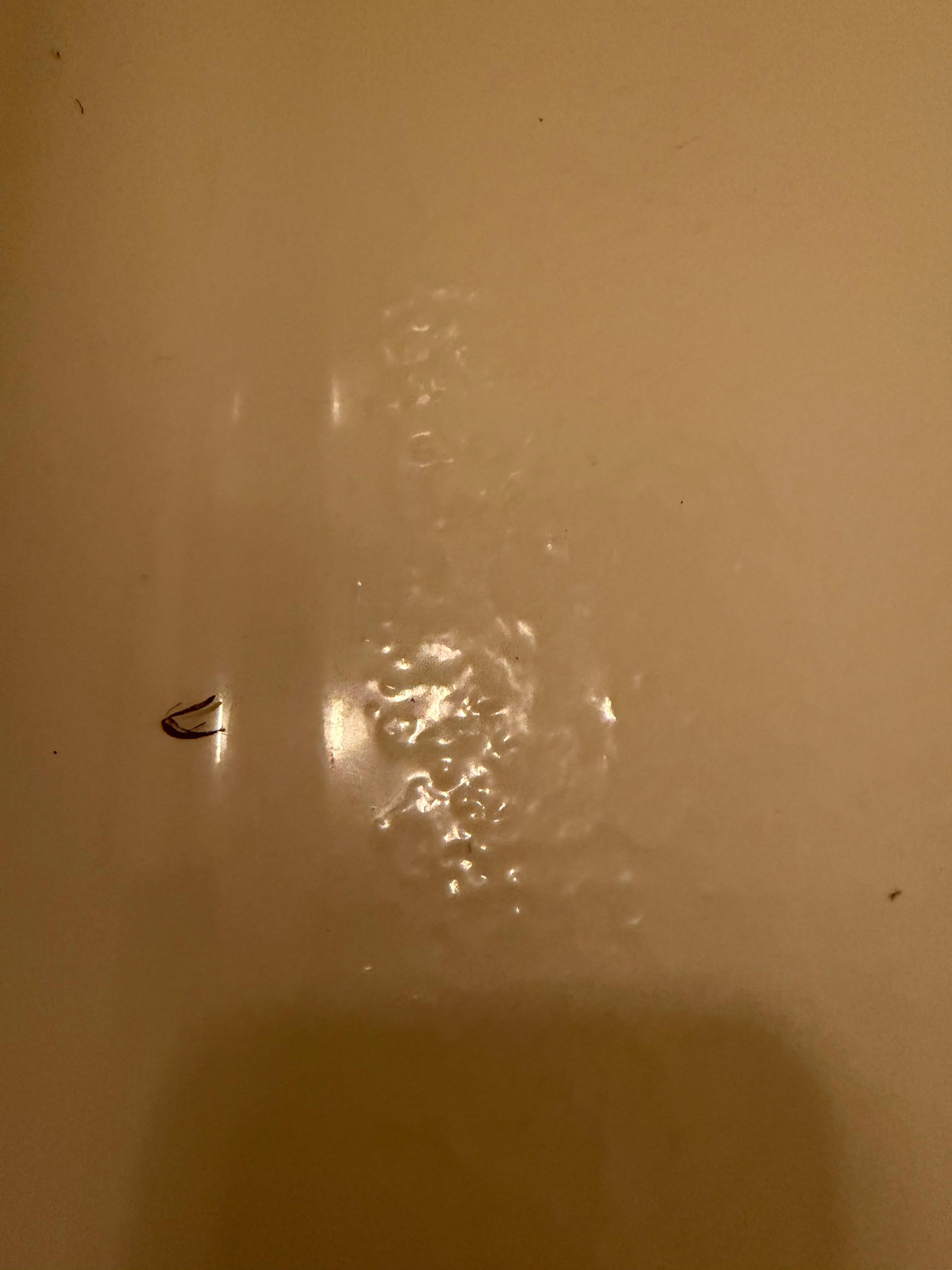 Bug in shower 