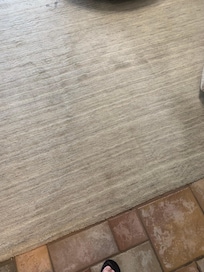Dirty path on the rug facing entry door.