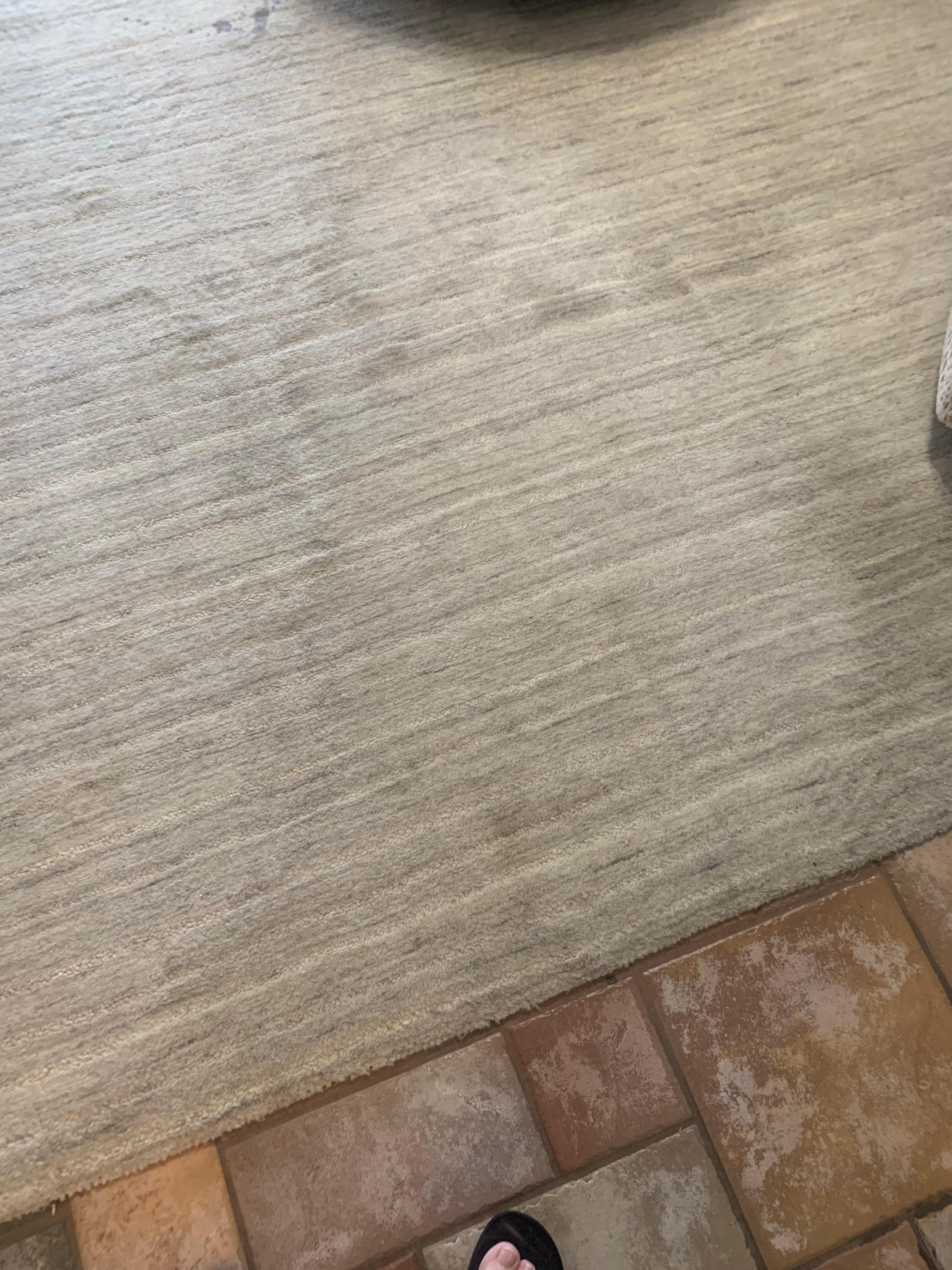 Dirty path on the rug facing entry door.
