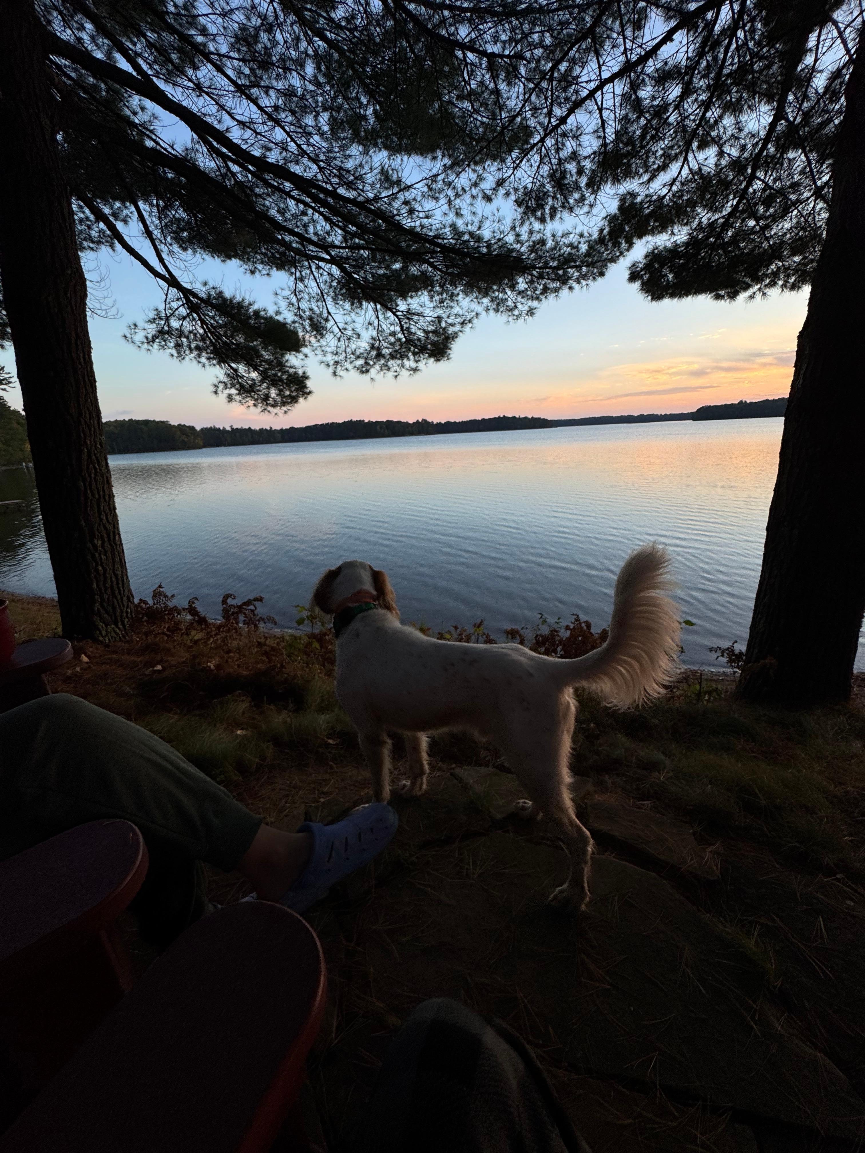 Felix enjoyed the lake