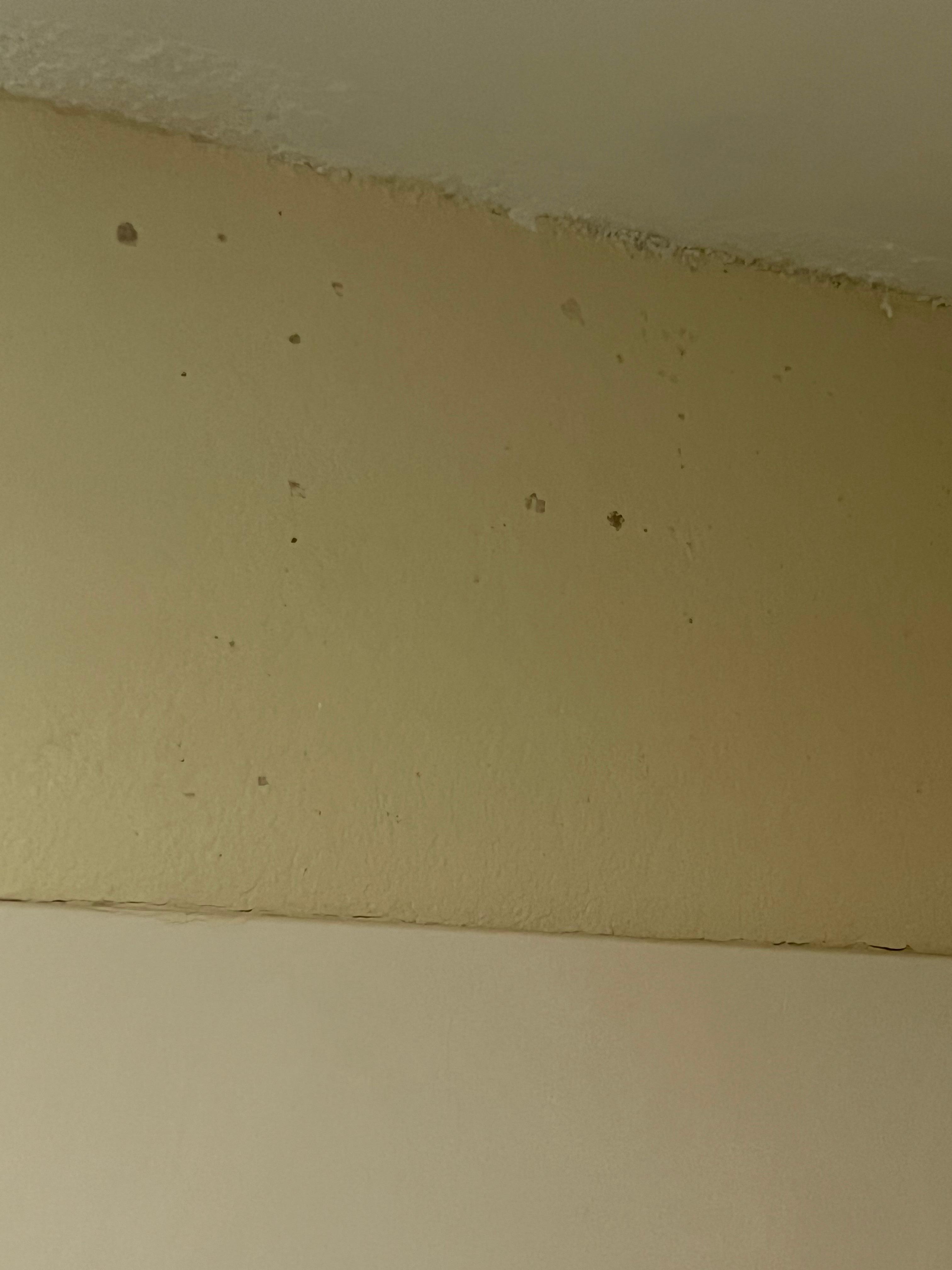 Holes in walls