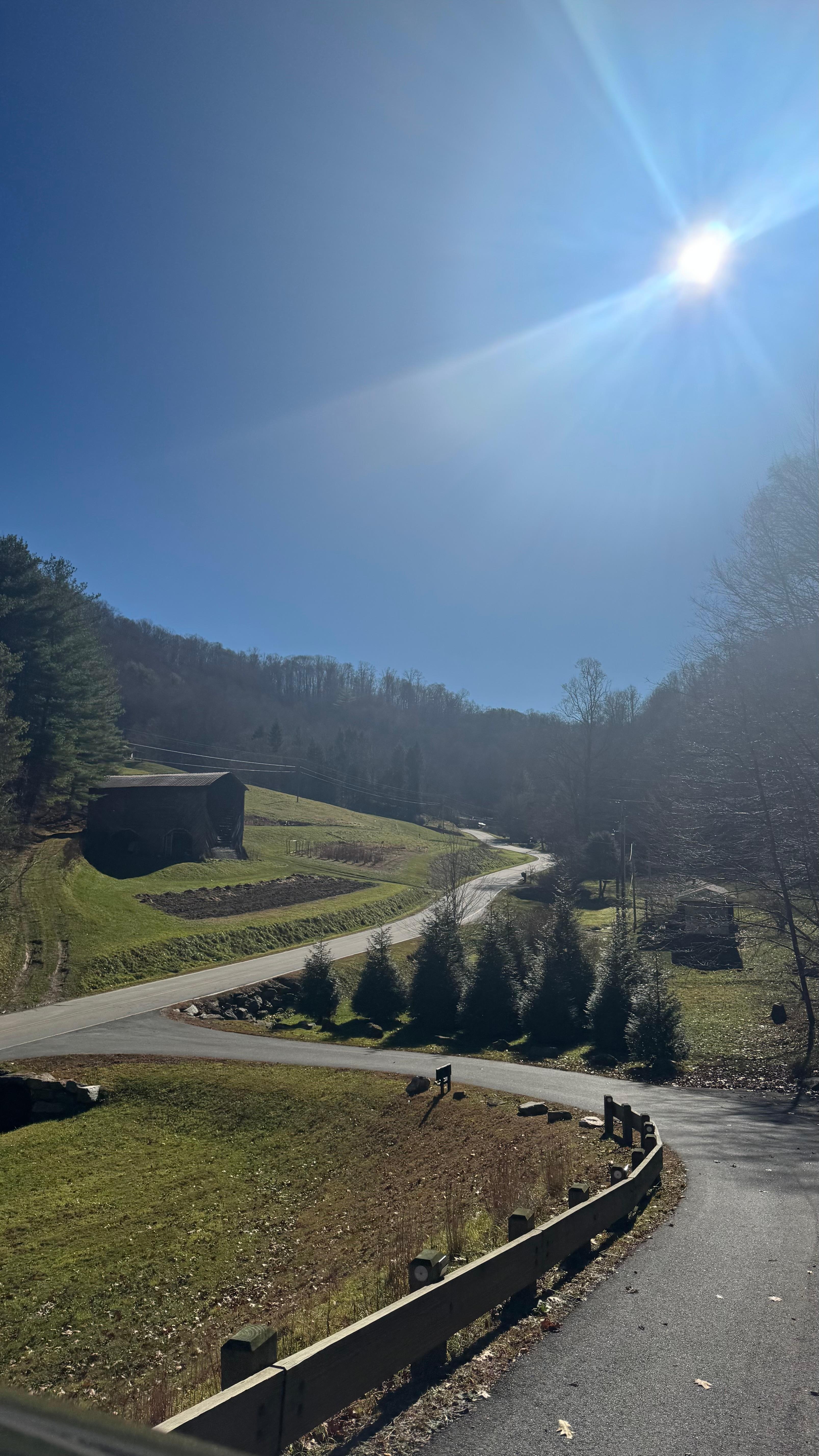 Views from the driveway 