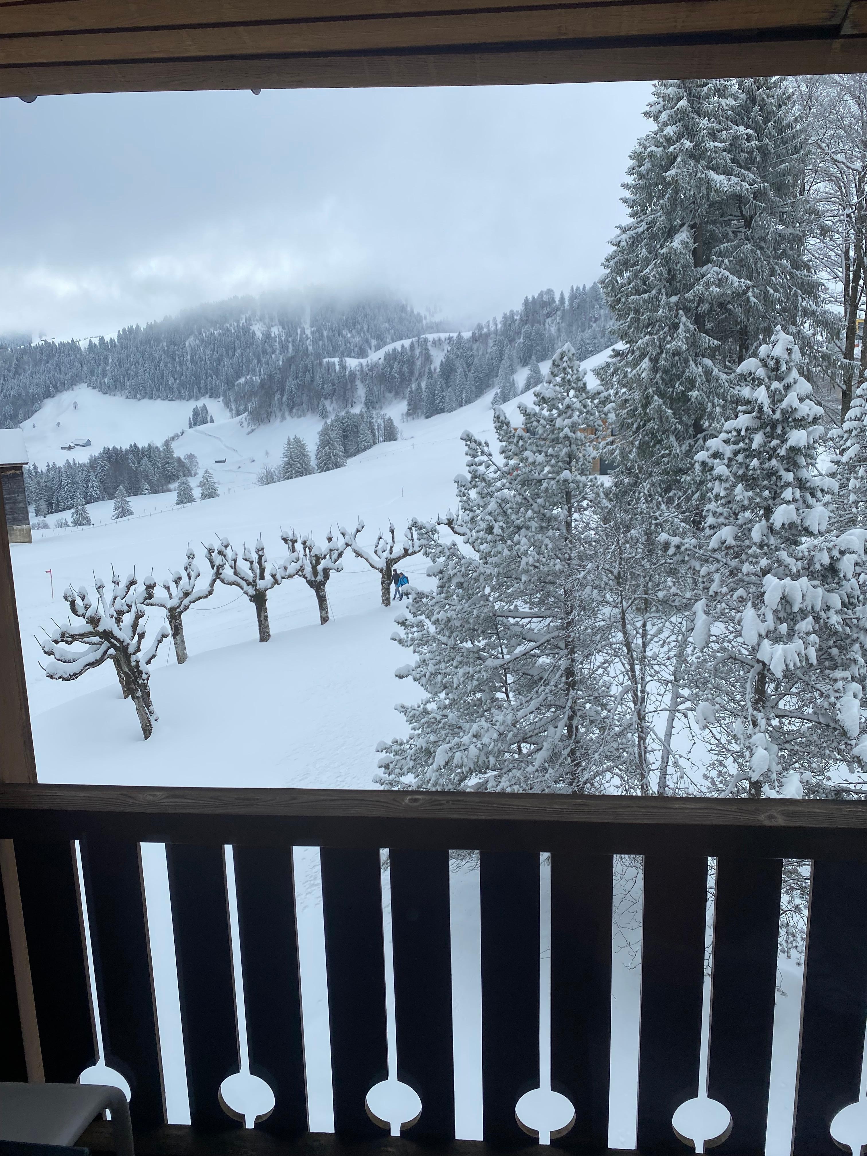 Blick aus dem Zimmer 