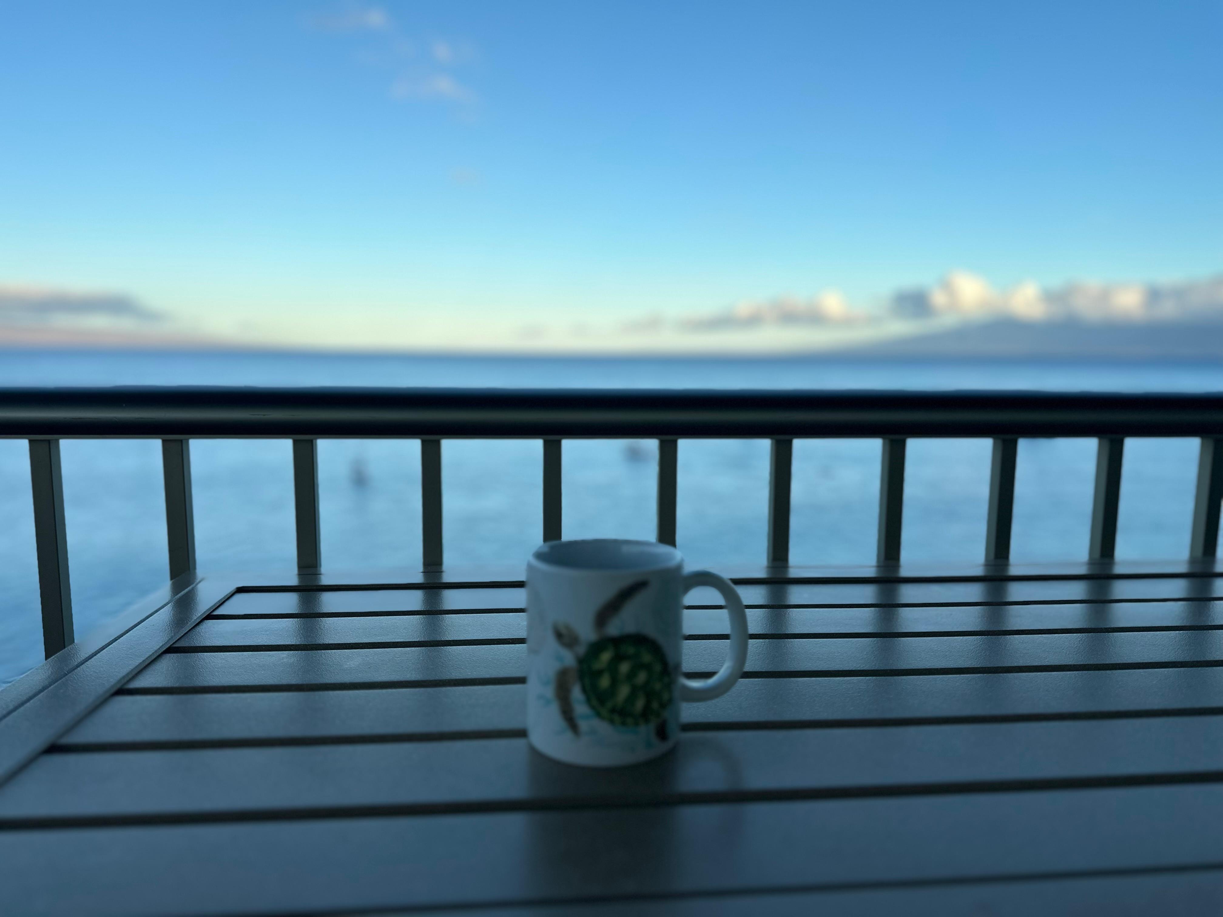 Morning coffee on the lanai.