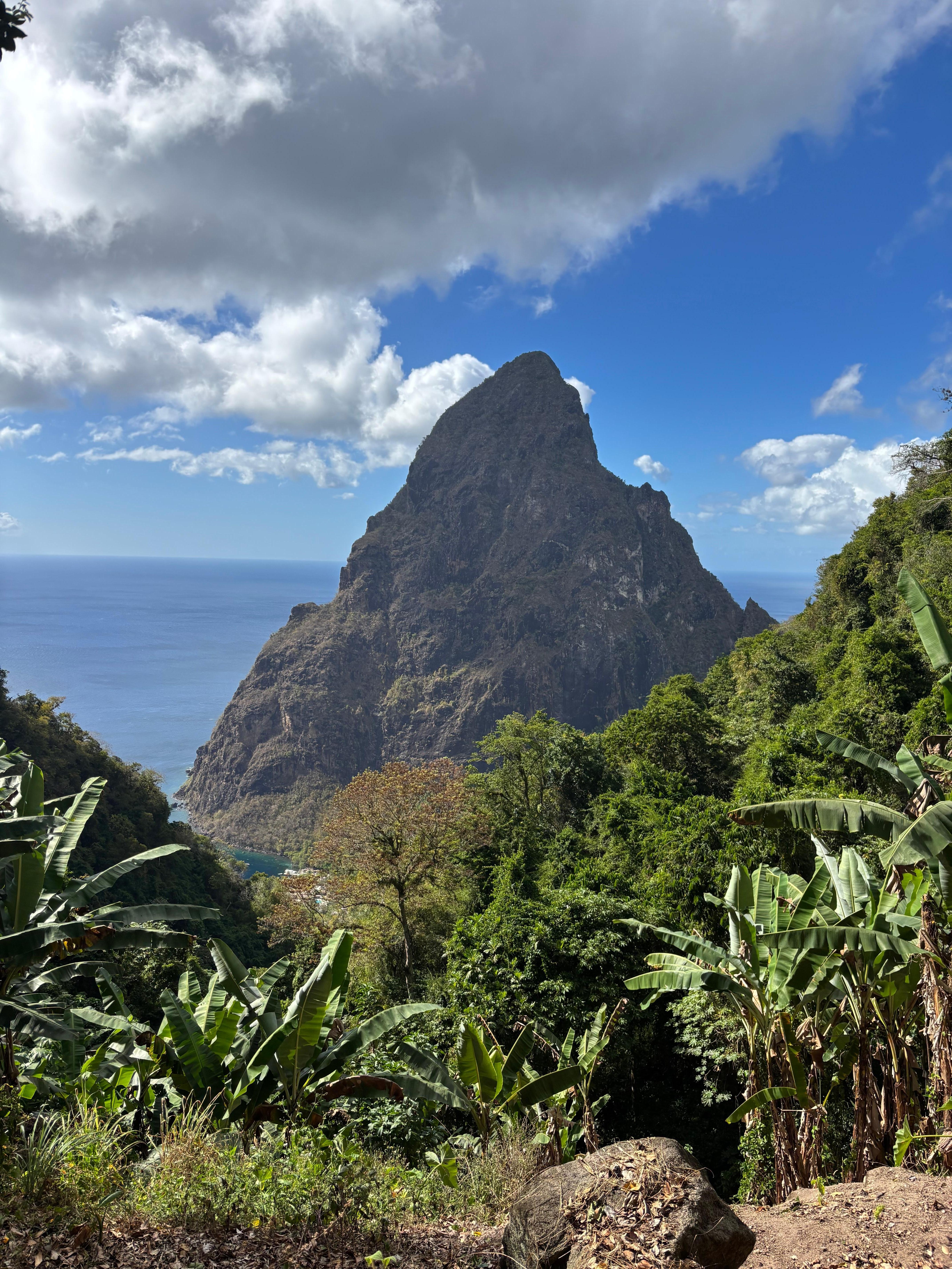 View from the top of the nature trail on the property. Wear trainers as minimum, it’s steep