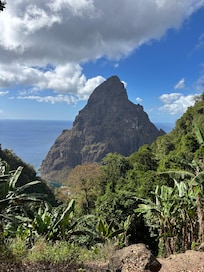View from the top of the nature trail on the property. Wear trainers as minimum, it’s steep