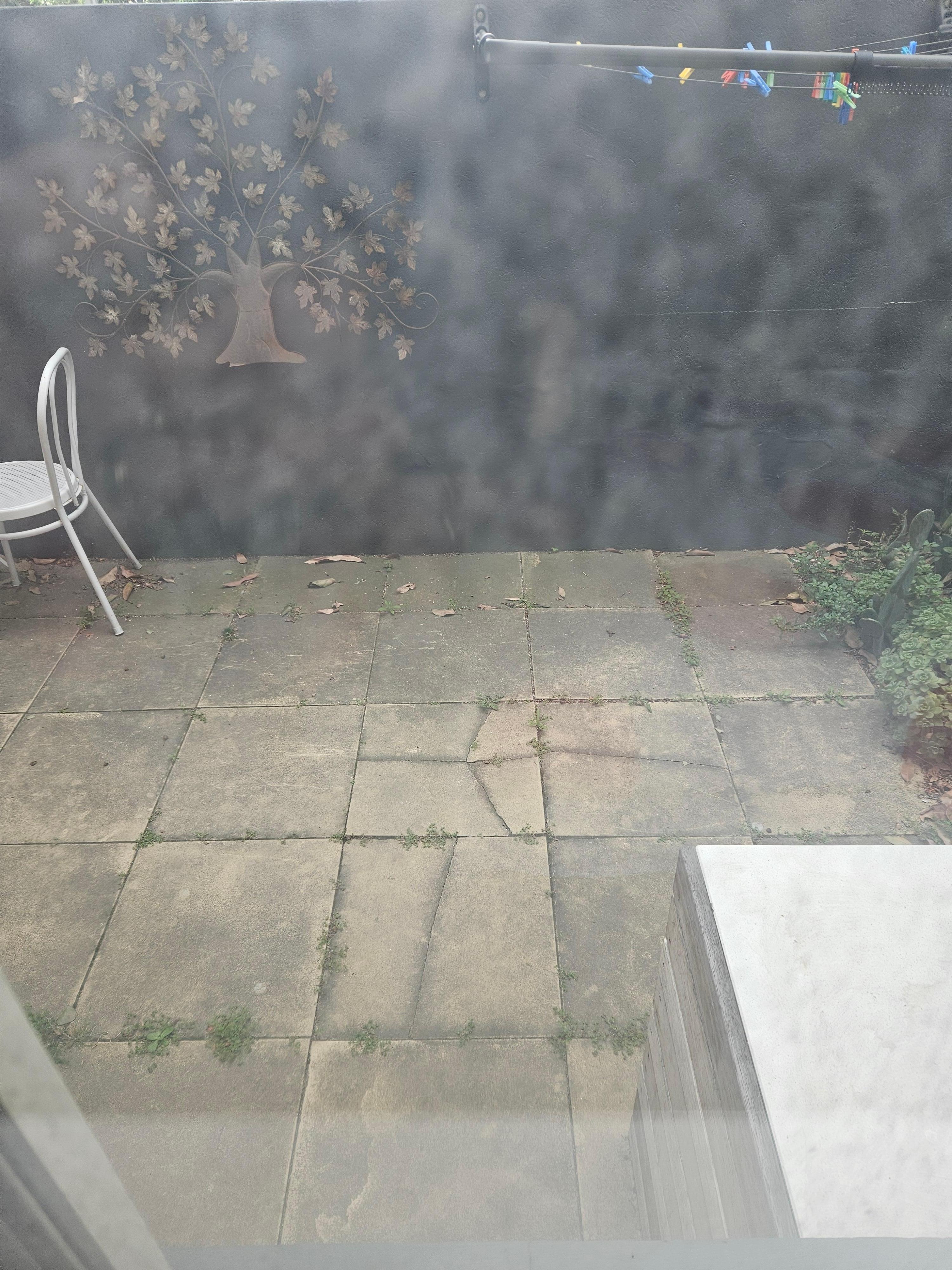 Looking through filthy window to coutyard