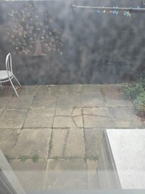 Looking through filthy window to coutyard