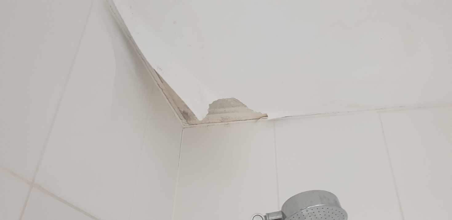 Paint peeling on ceiling in shower
