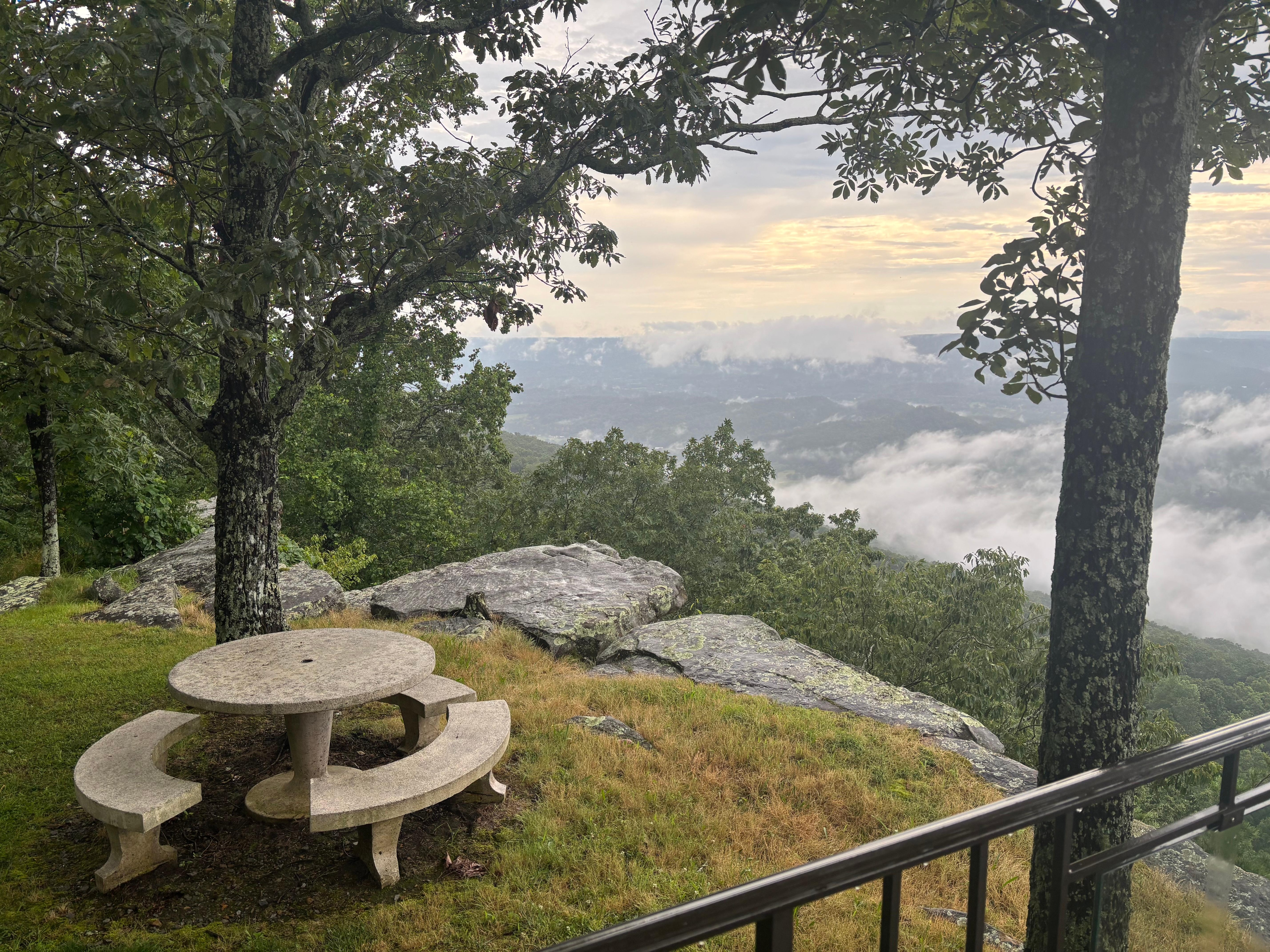 A quiet place to enjoy a morning cup of tea or coffee while watching the birds soar through the morning sky. 