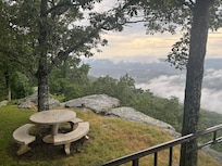A quiet place to enjoy a morning cup of tea or coffee while watching the birds soar through the morning sky.