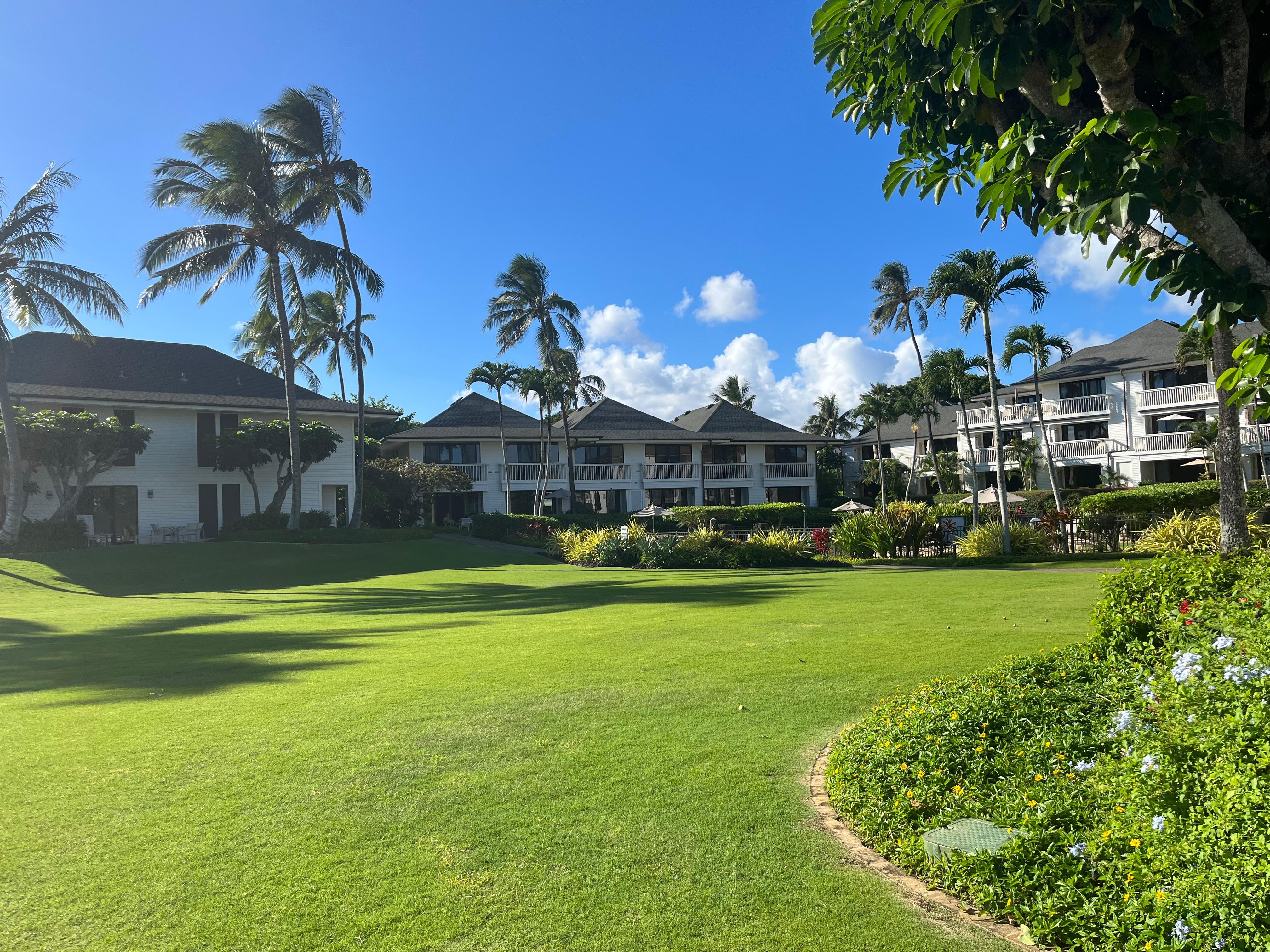 Large grass area next to the lanai patio.