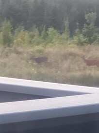The welcoming committee