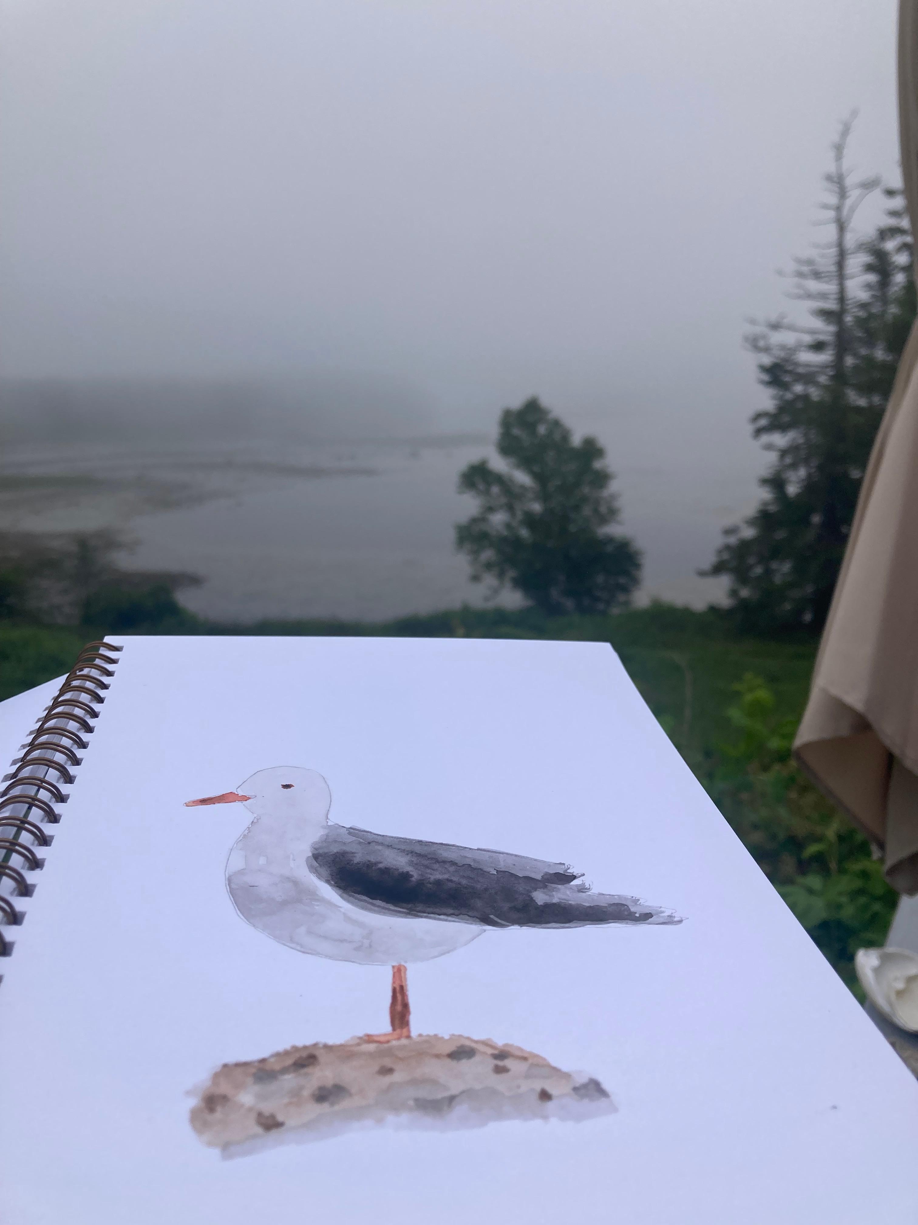 Watercolors on the deck