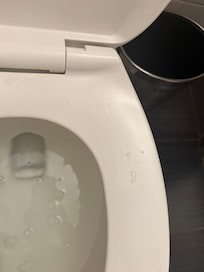 Urine on toilet seat when I checked in