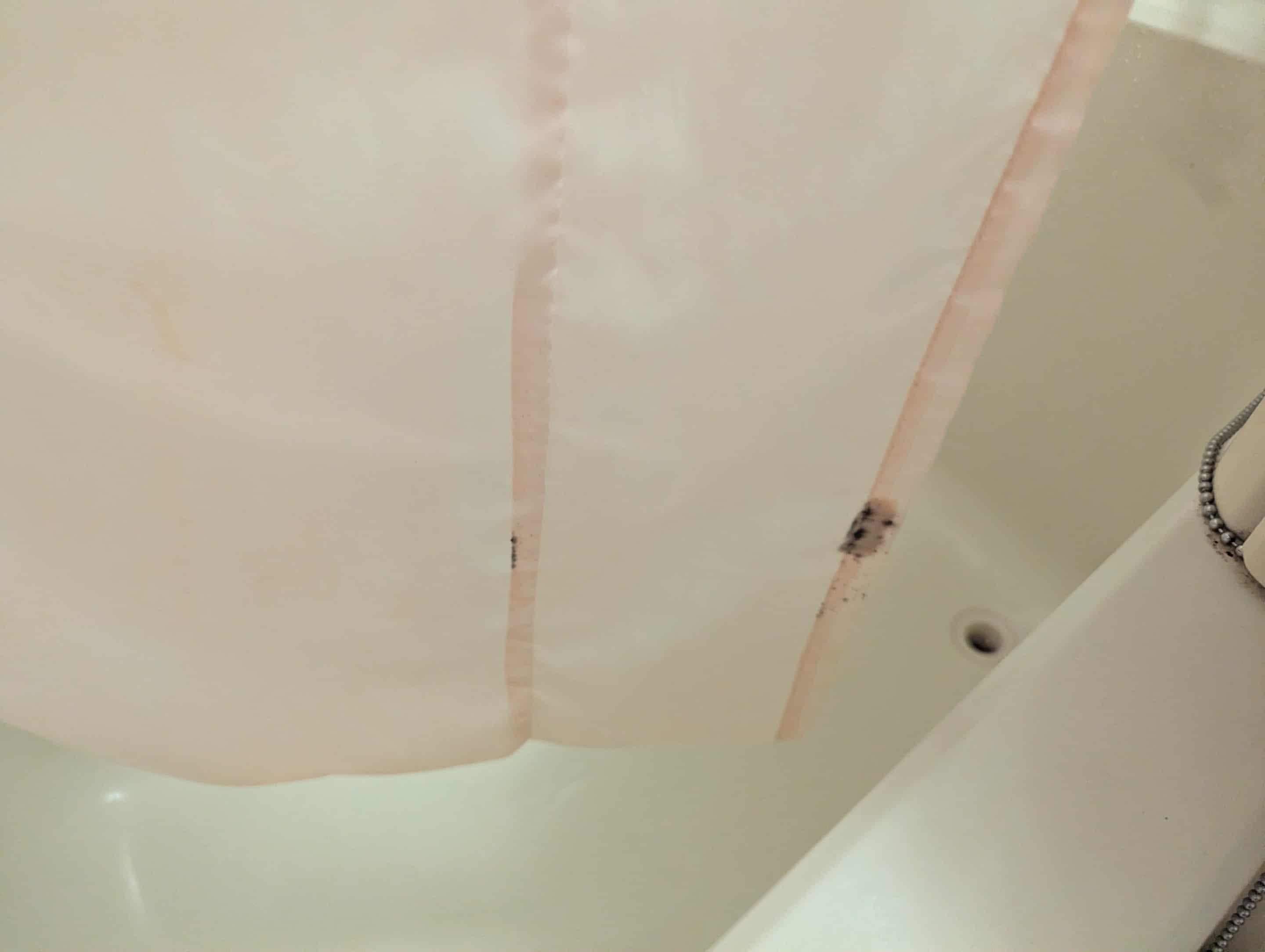 Moldy shower curtain