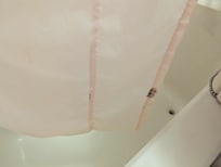 Moldy shower curtain