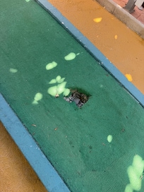 the full crazy golf course was like this