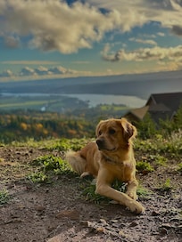 Pet relief area with a beautiful view!