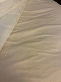 Hair on bed upon arrival