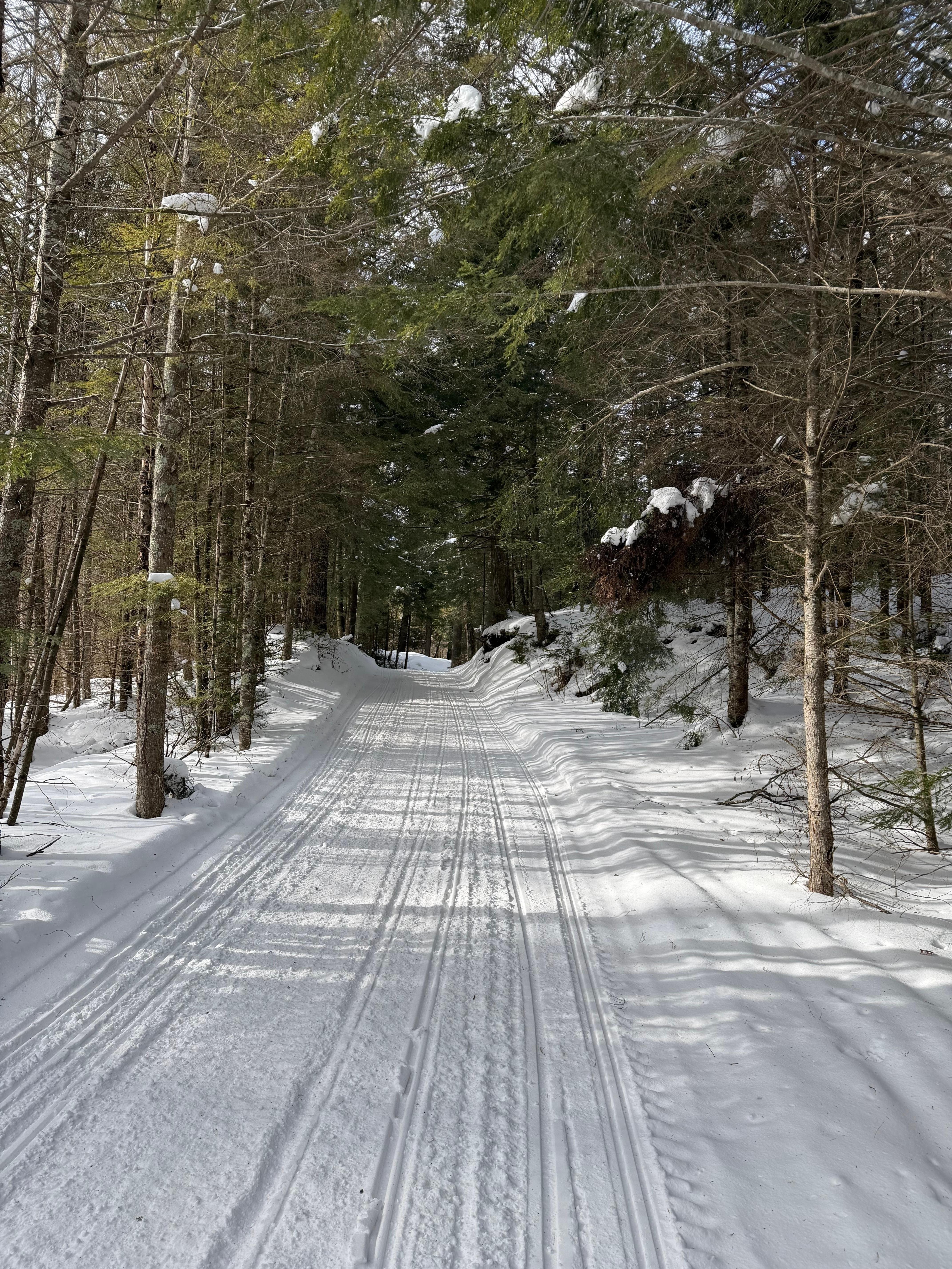 Snowmobile trail