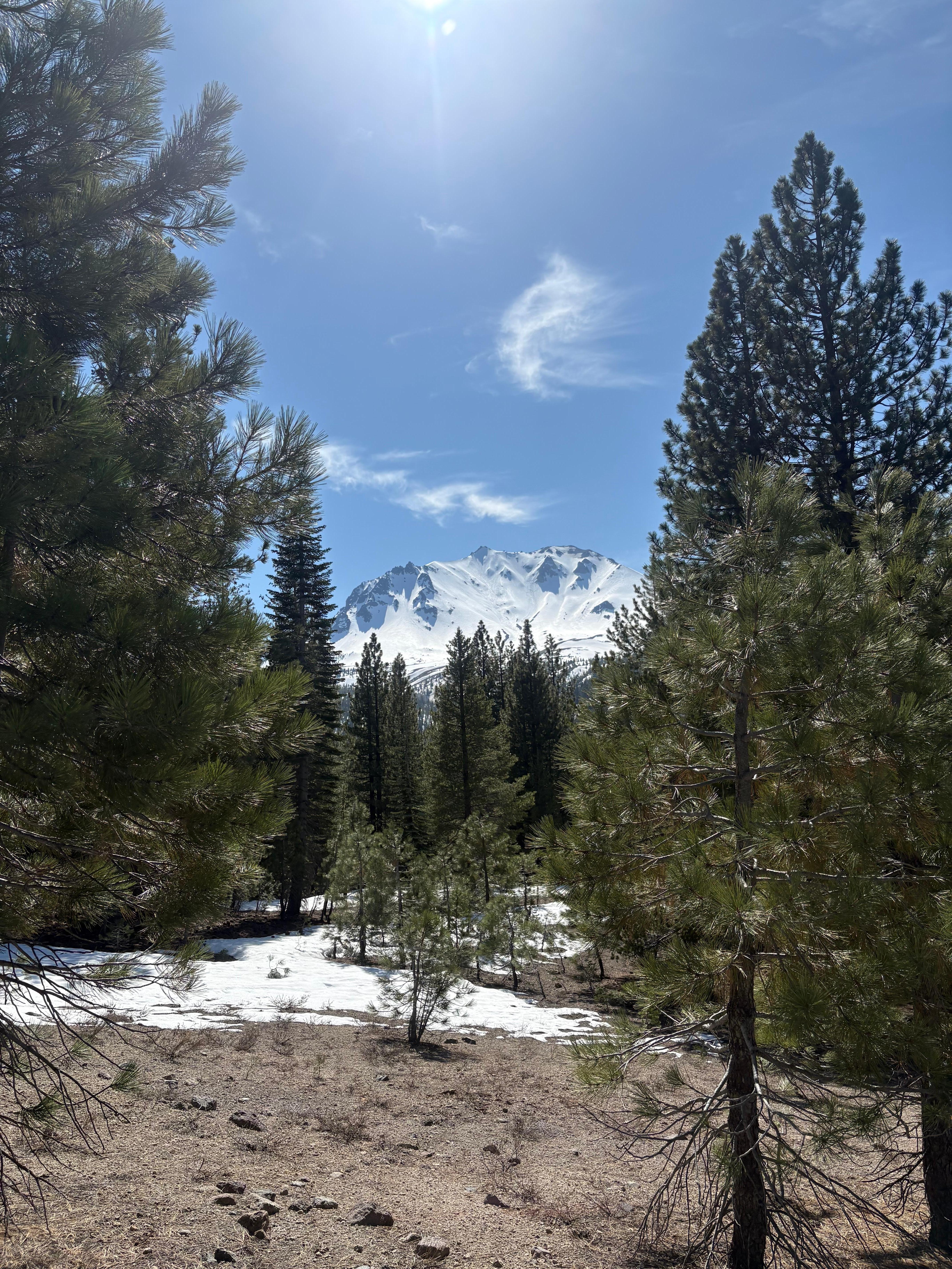 Lassen National Forest 30mi North the road from house 