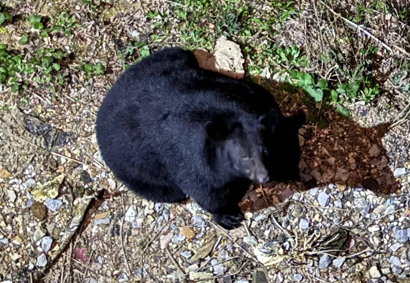 We even had a special guest