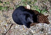 We even had a special guest