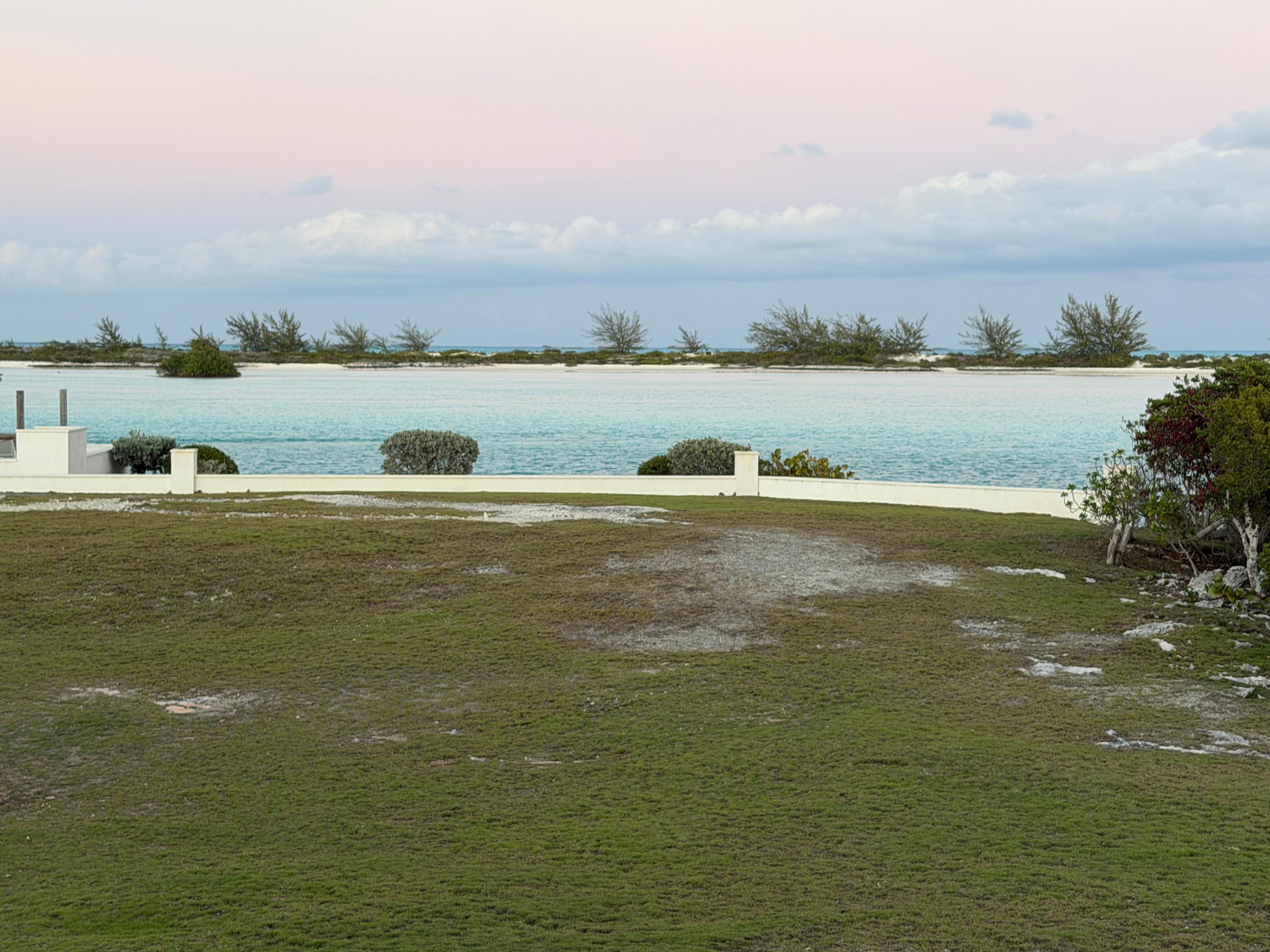 Backyard view from back porch