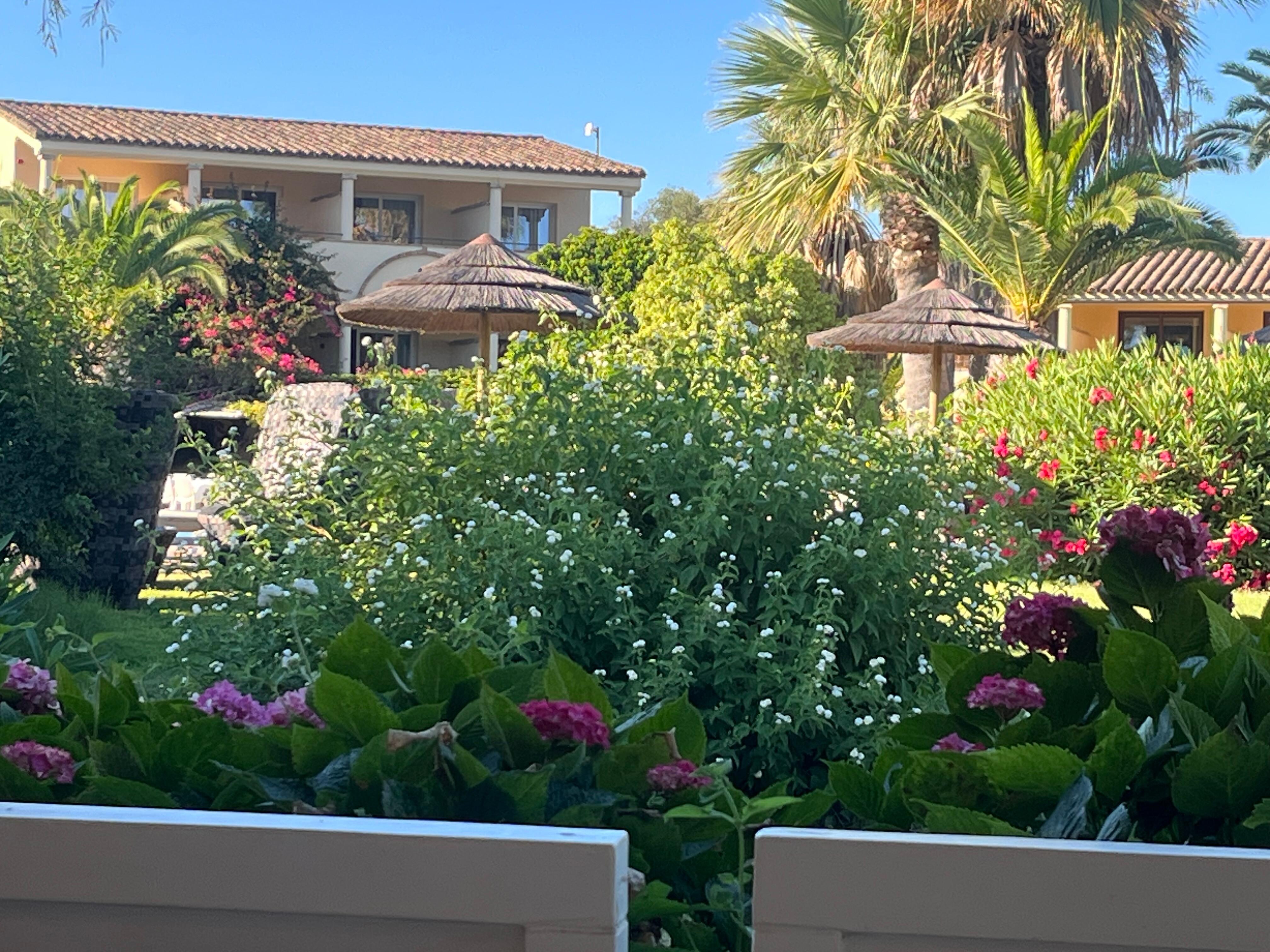 View from the Bistrot