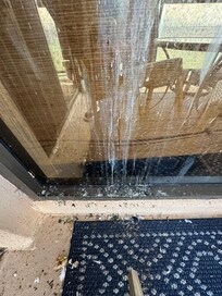 bird excrement all throughout the lanais, so much more than pics reveal