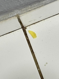 Pedaço de comidas no quarto