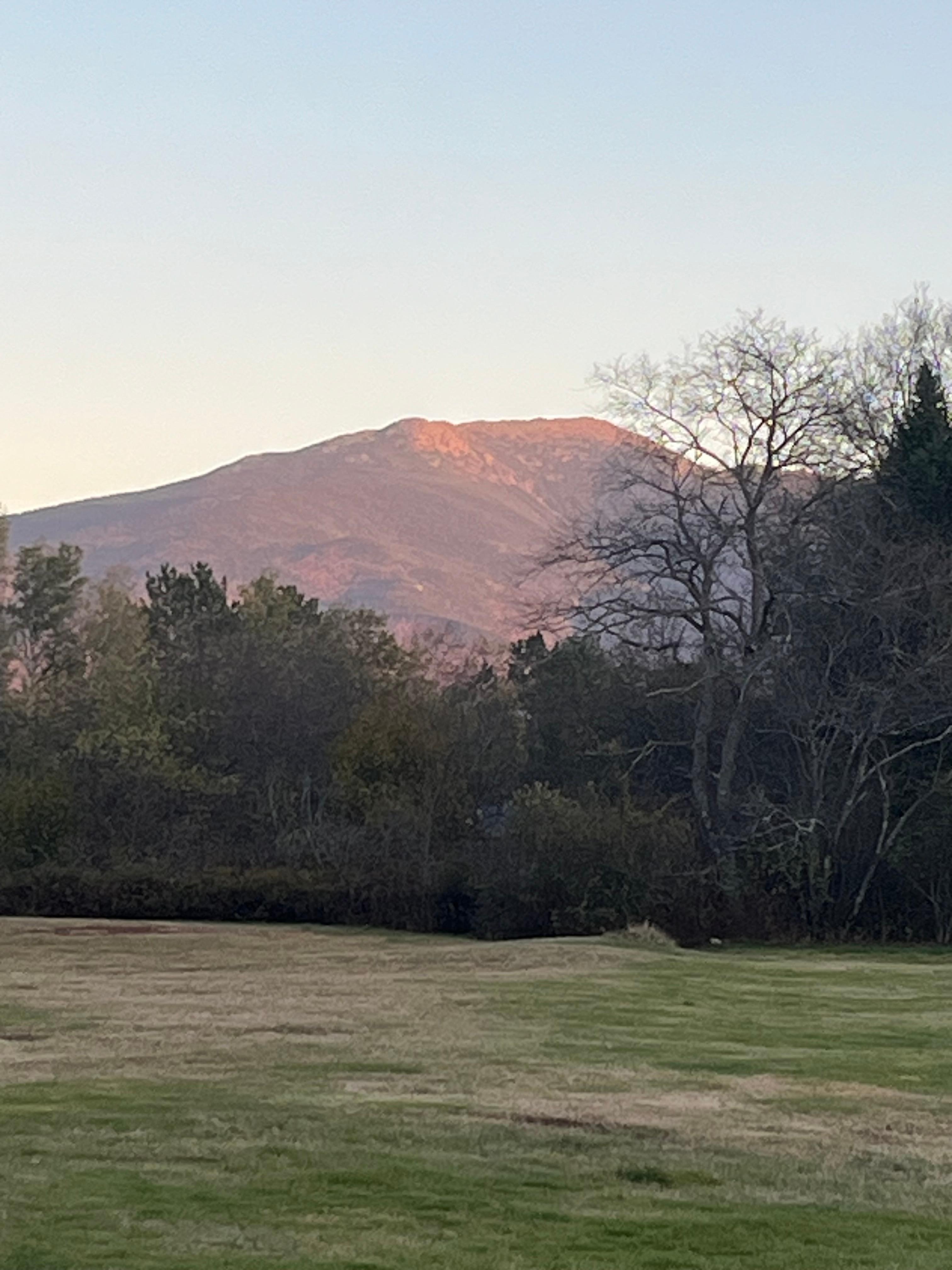 View from our window at River Gale Motel