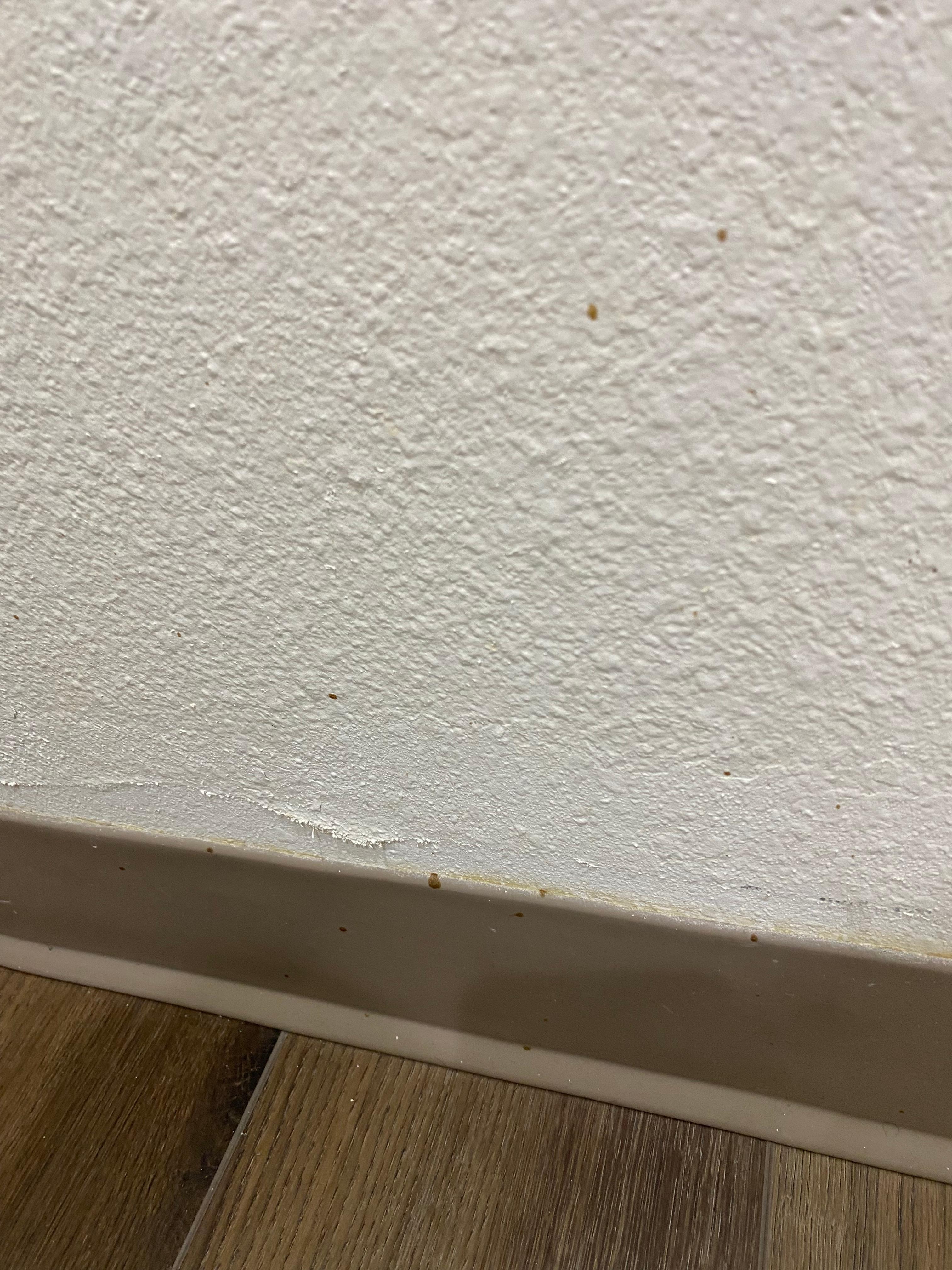 Feces splatter