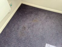 Floor stains