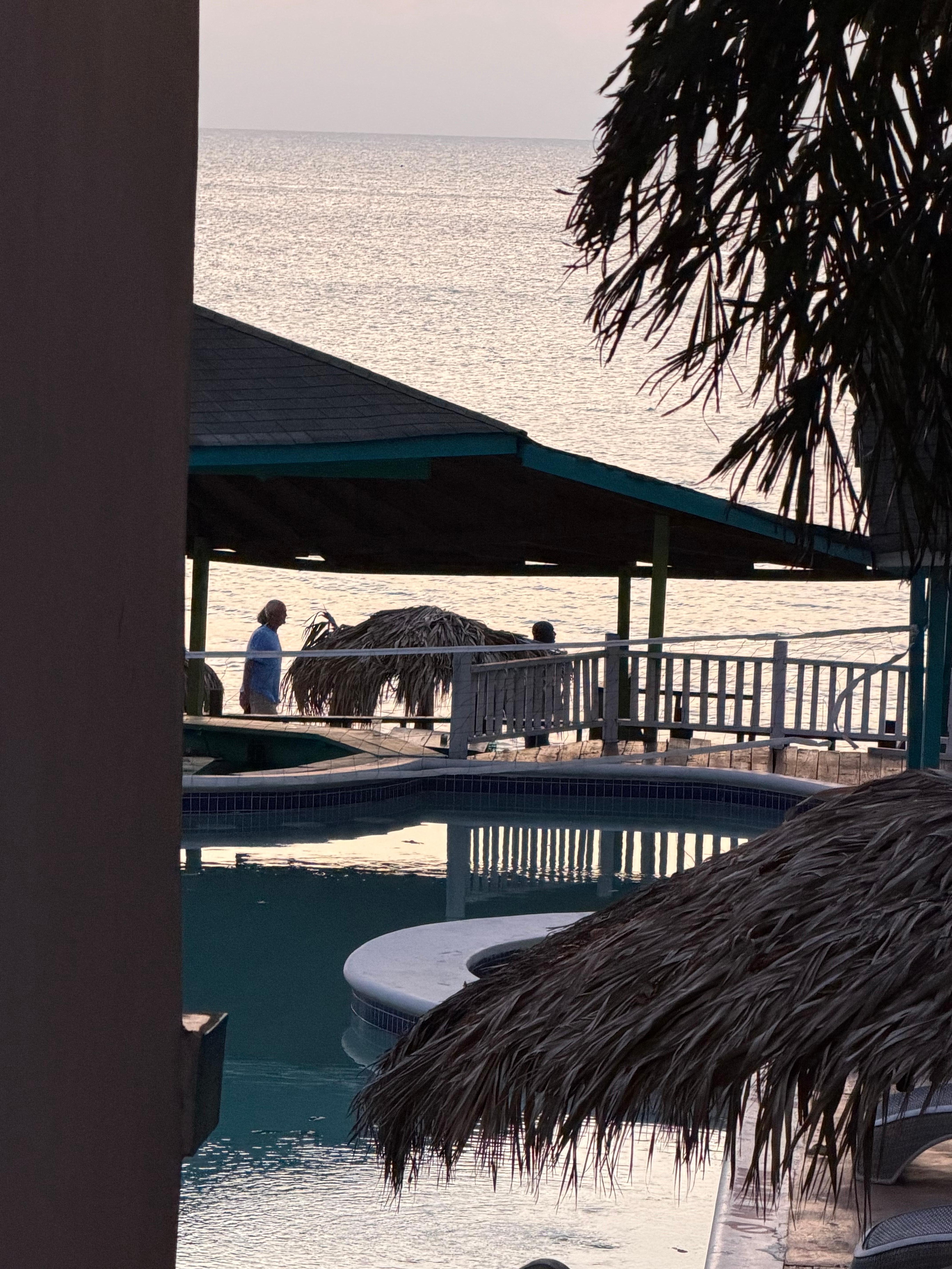 Green pool, picture looks better than it did in real time.