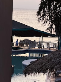 Green pool, picture looks better than it did in real time.